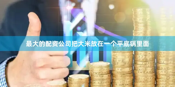 最大的配资公司把大米放在一个平底锅里面