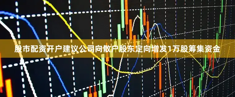 股市配资开户建议公司向散户股东定向增发1万股筹集资金