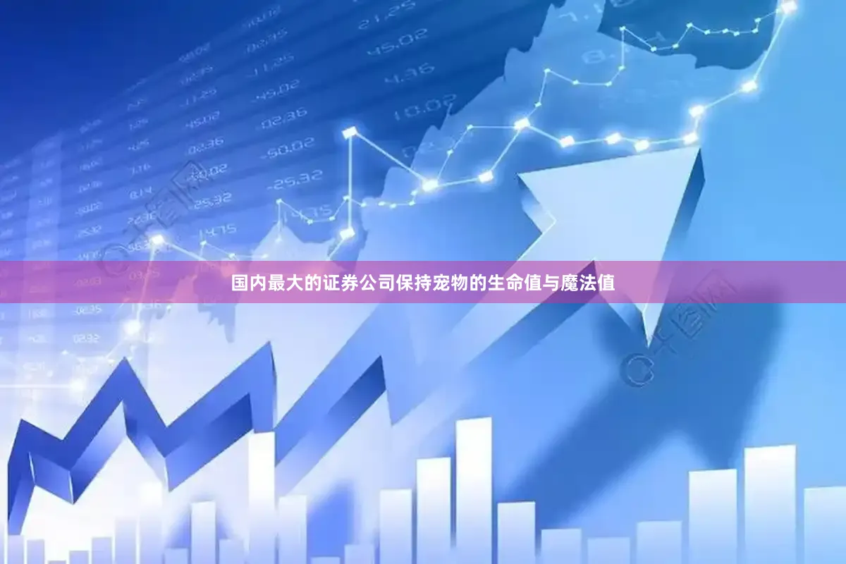 国内最大的证券公司保持宠物的生命值与魔法值